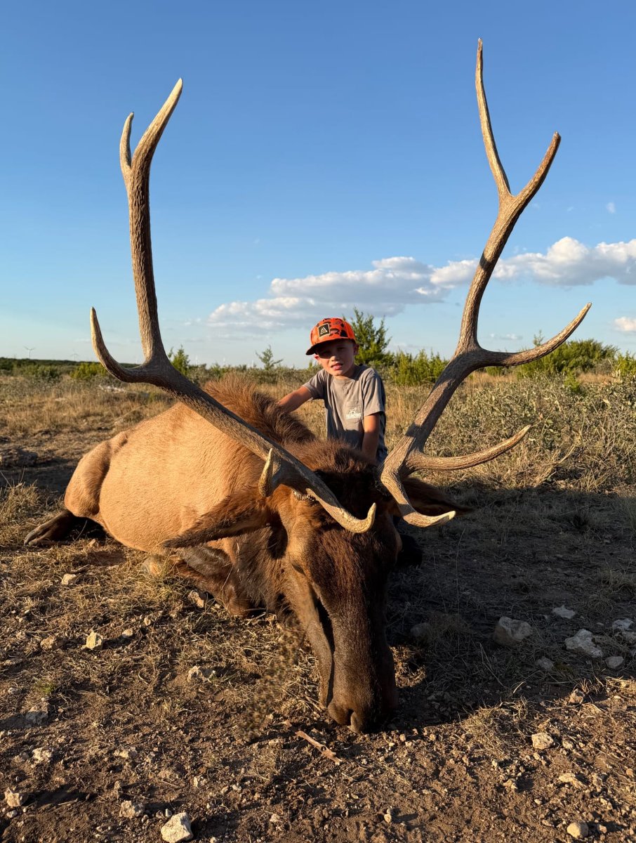 Trophy Bull Elk Hunts in Sweetwater, TX | Barbell Ranch