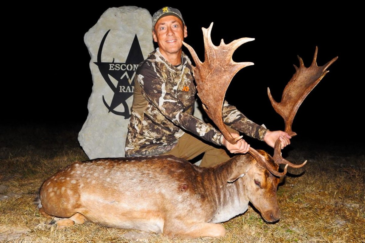 Fallow Buck & Hog Hunt near Junction, Texas | Escondido Ranch