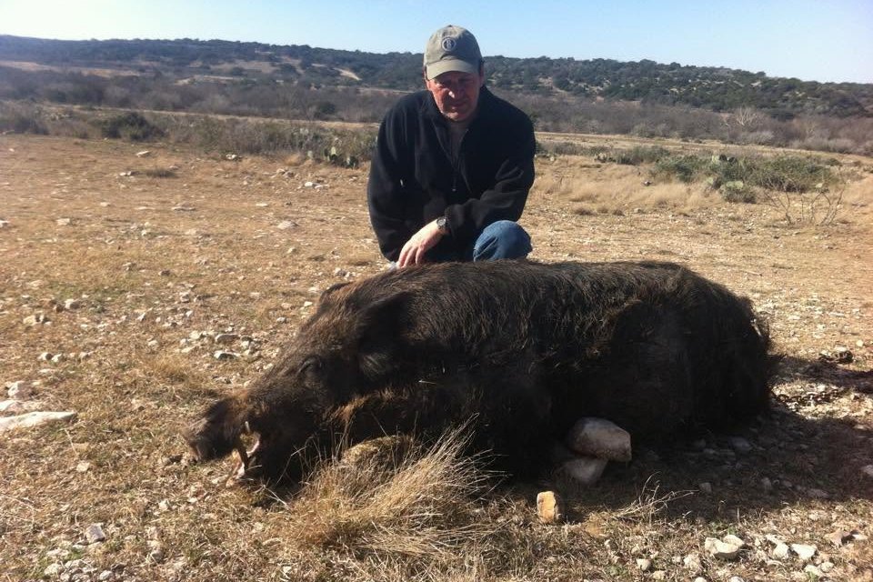 Guided Hog Hunt near Junction, Texas | Escondido Ranch