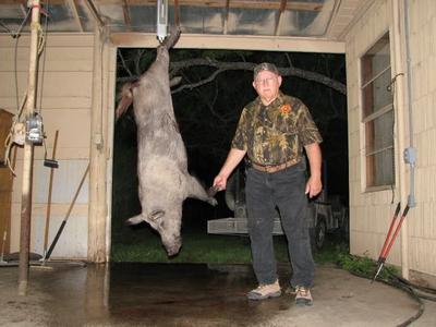 Trophy Sika Buck & Hog Hunt near Junction, Texas | Escondido Ranch